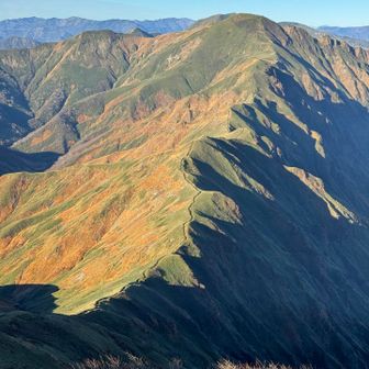この下りっぷりとウネウネっぷりよ
万太郎山の量感たるや良し👍