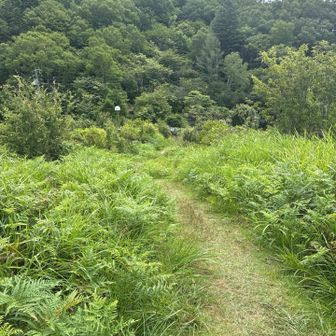 ちょっと下って、もうひと登り。