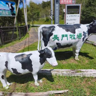 白樺湖をふらふら歩いていて、バスの時間を待っていて、長門牧場についたのは12時半をすぎていた。ちょっとやる気が失せる。。。