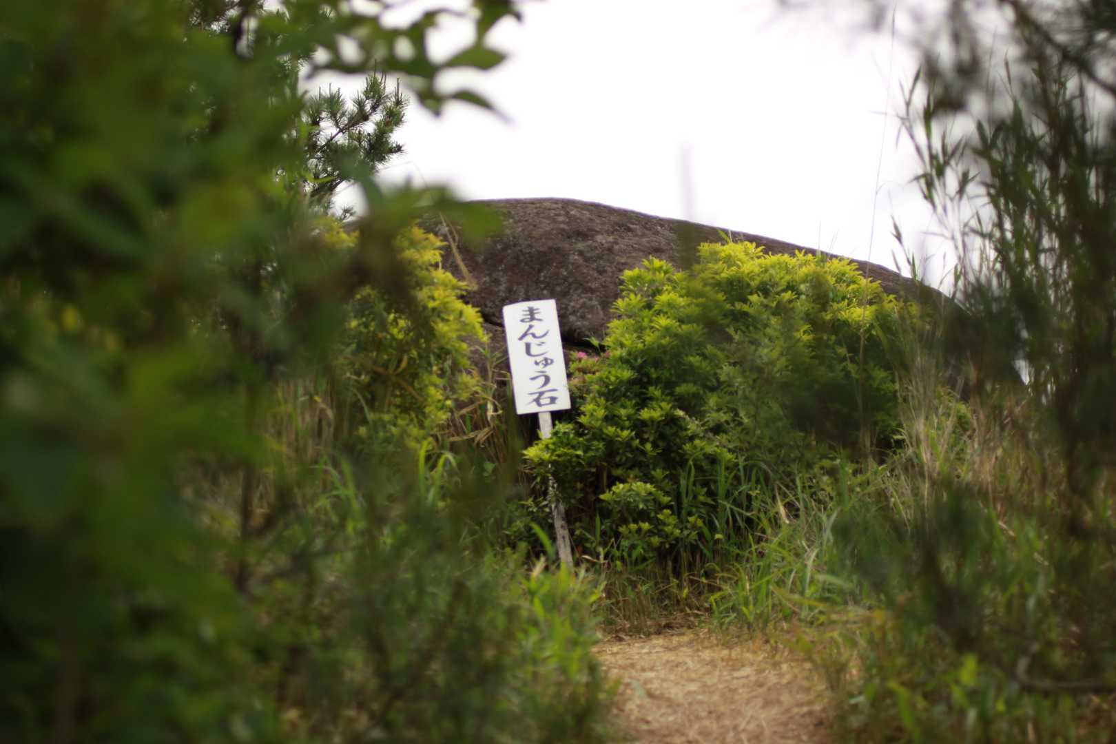 万年山 往復コースの写真