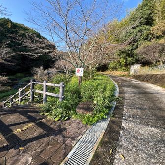 ここで左の階段をおりる