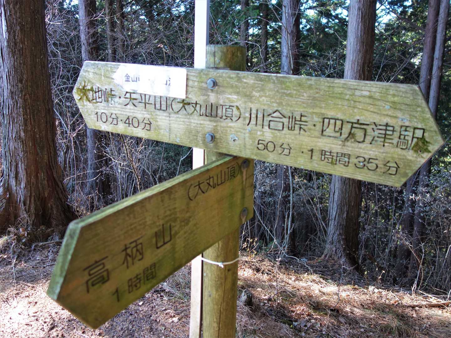 四方津駅-大地峠・高柄山登り口-川合峠-大丸-千足峠-高柄 縦走コースの写真