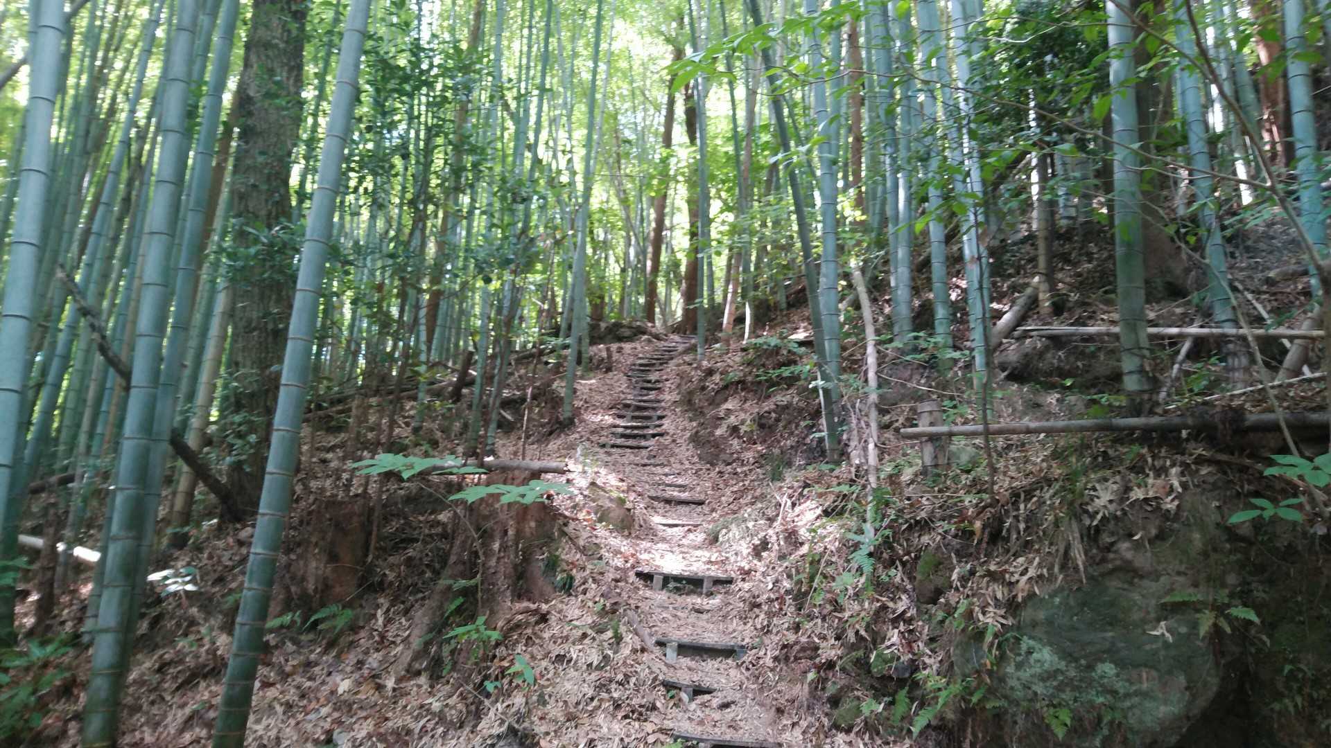 チャリ降りたら汗が吹き出してきた💦