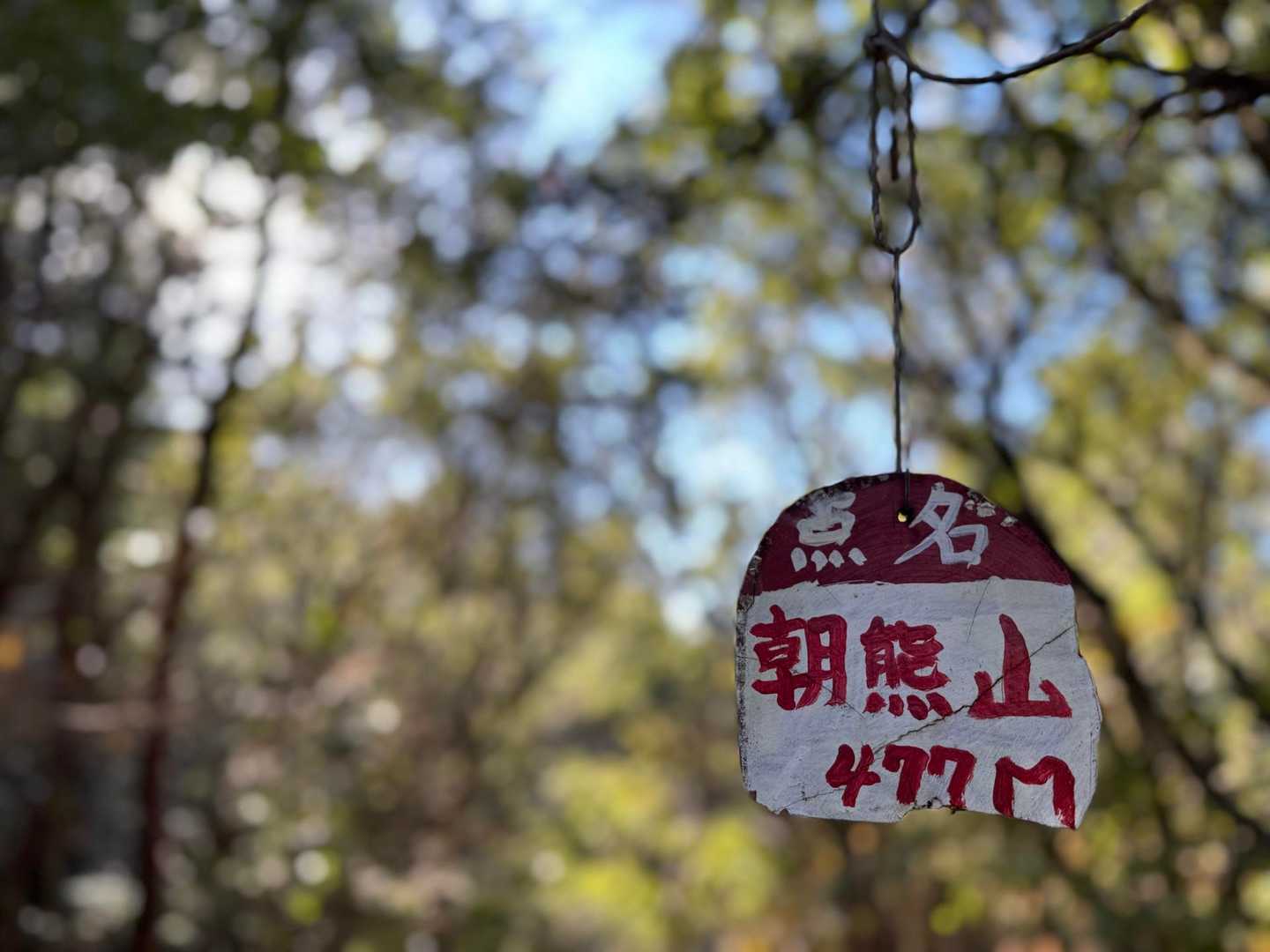 朝熊岳道入口-朝熊峠-朝熊ヶ岳-金剛證寺-朝熊山 縦走コースの写真