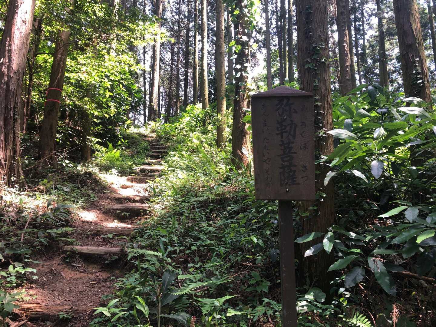 権現山 往復コースの写真
