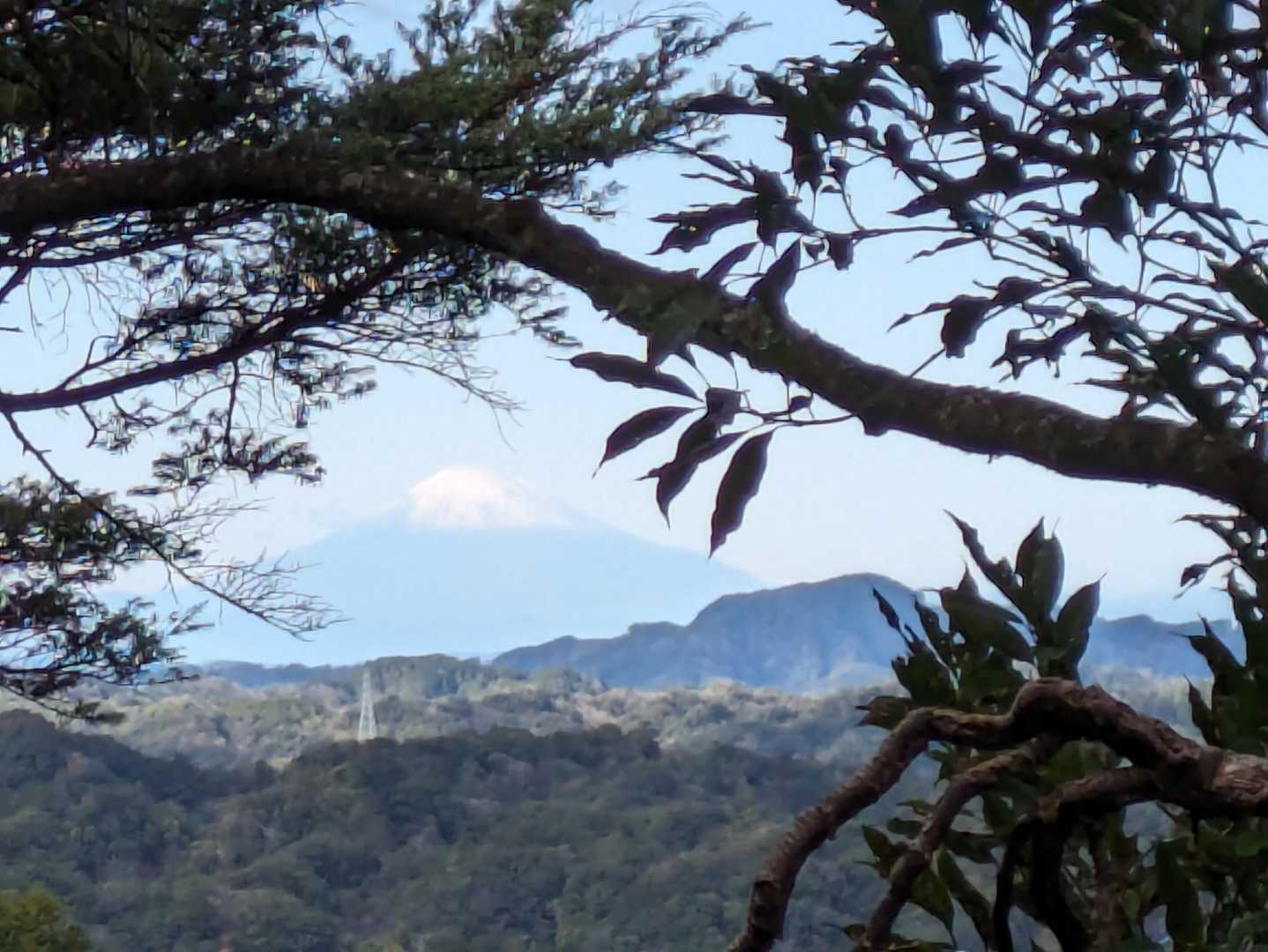 途中で、木の間から富士山が見えていることに気が付きました。