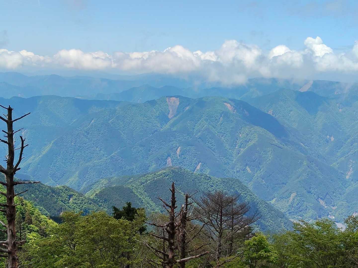 地蔵峠入口-地蔵峠-岩岳-下十枚山-十枚峠-十枚山 往復コースの写真