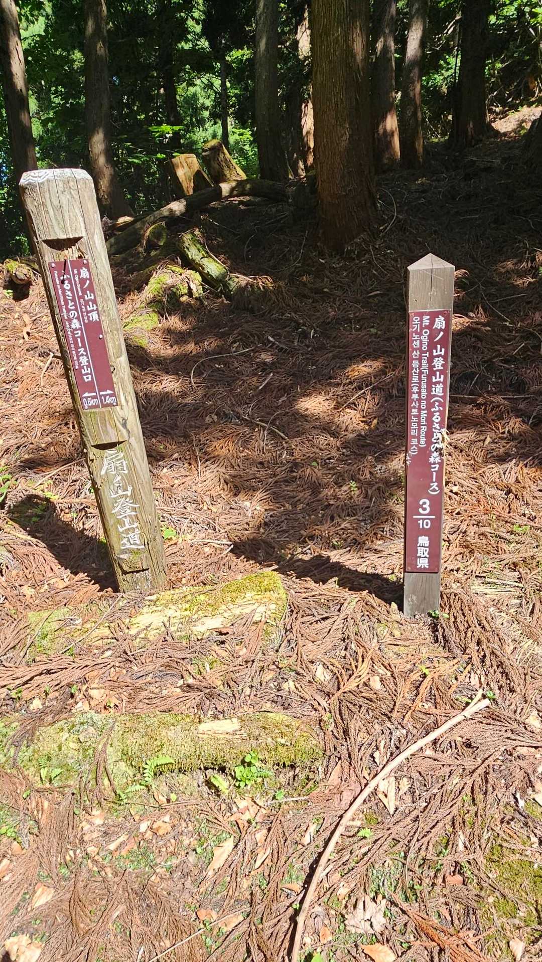3合目、4合目がキツイ登りに❗
