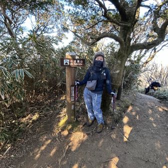 やっと小達磨山