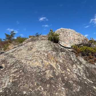 カエル岩らしいけれど🐸に見えないんだけれど？