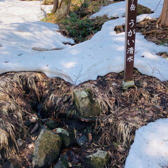 うがい清水まで戻って来ました✨