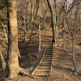 この先らしい。