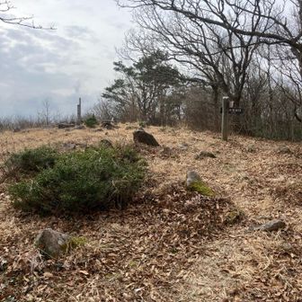 山頂部は開けてますが眺望なし