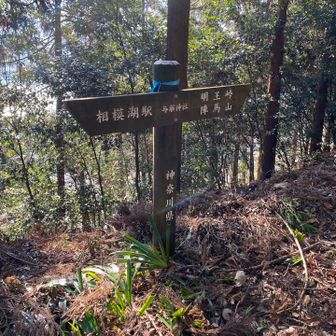 與瀬神社、相模湖駅方面に進みます。