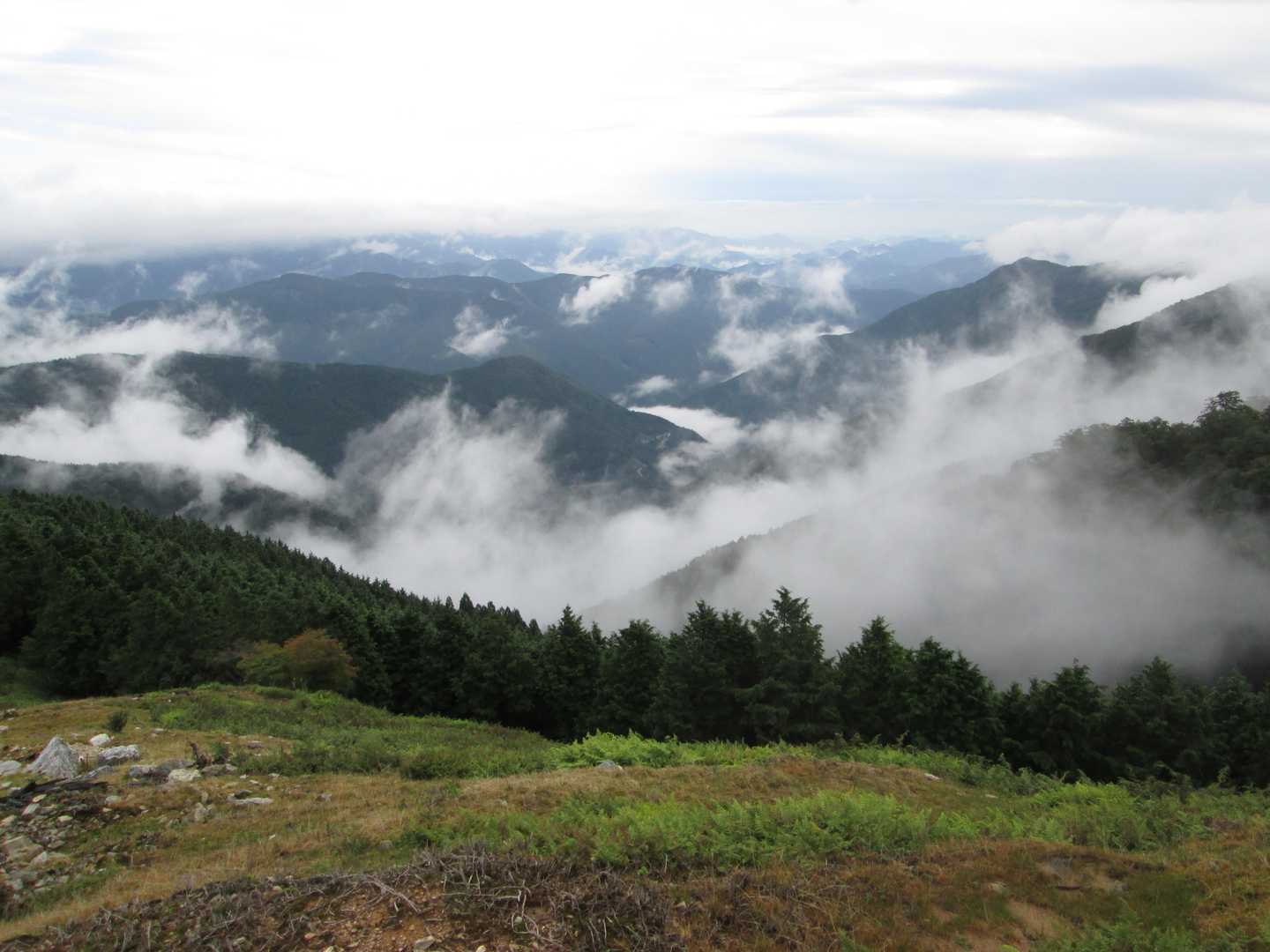 木屋谷雨量観測所-桧塚奥峰登山口-桧塚-桧塚奥峰-明神岳 往復コースの写真