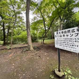 深大寺自然広場カニ山キャンプ場🏕️
この広場にカニさん🦀の山名表示があったのだけれど、この時は気付かず先へ