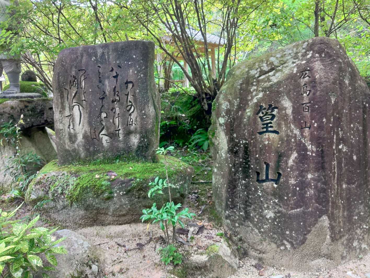 途中の岩