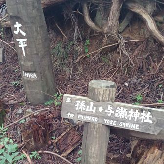 相模湖への中間地点！
