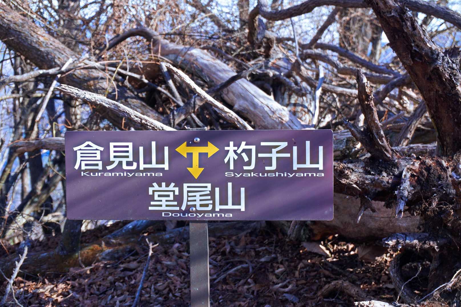 堂尾山方向に進みます