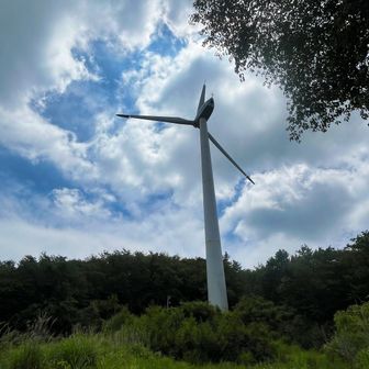 風車は止まっていました。風が無いこともあるのか、羽虫がまとわりついてきました。植林地より広葉樹林のほうが虫が多い印象。