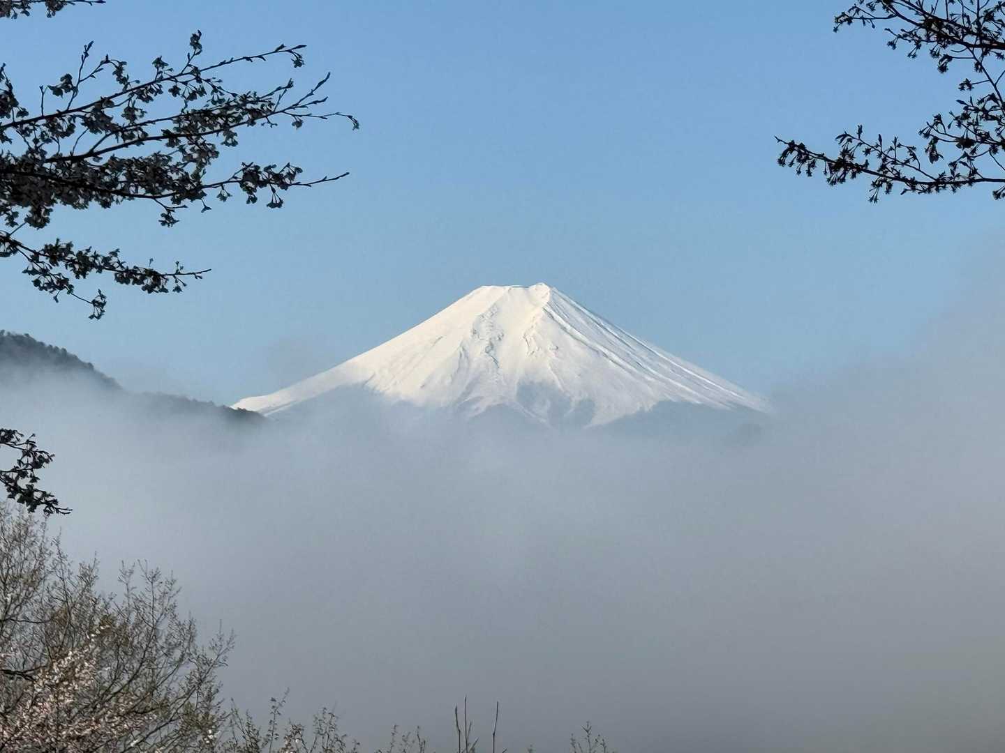 こんな富士山初めて見ました。