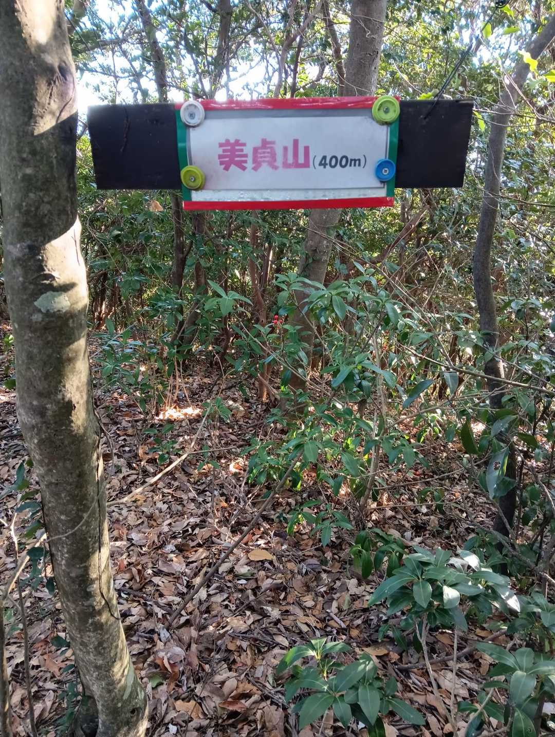 美貞山とも言うらしい。