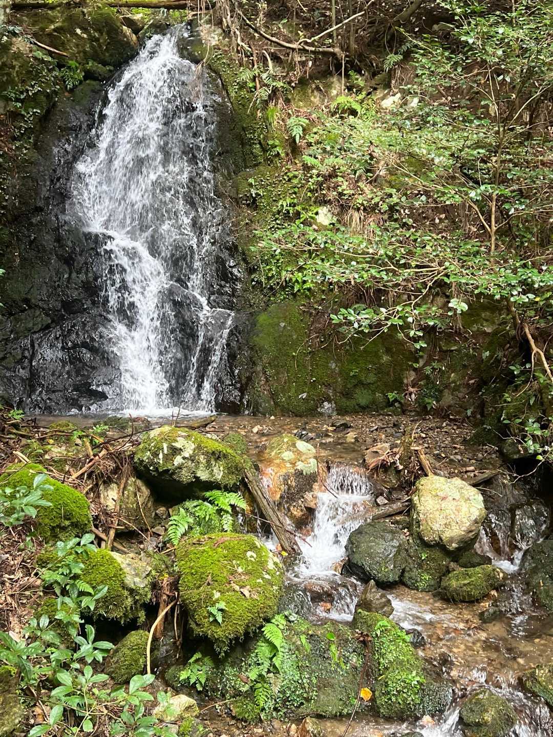 谷汲山華厳寺・妙法ヶ岳 往復コースの写真