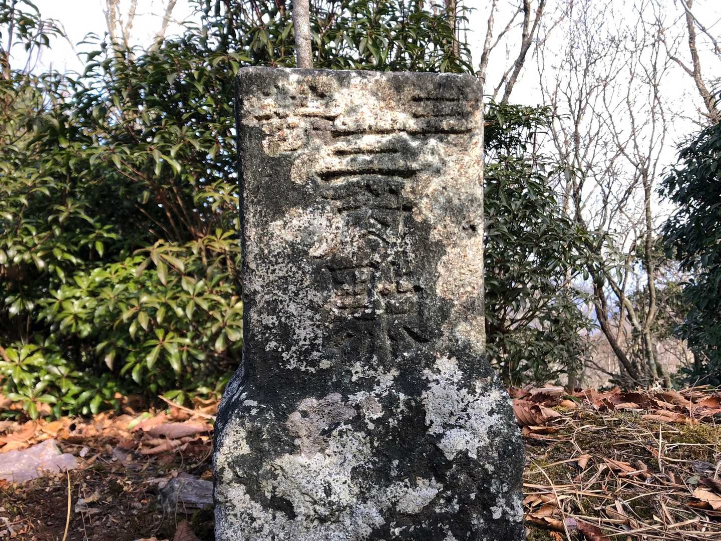 山道三角点、、三等三角点ね😝