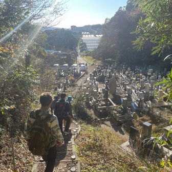 まもなくゴール🎊