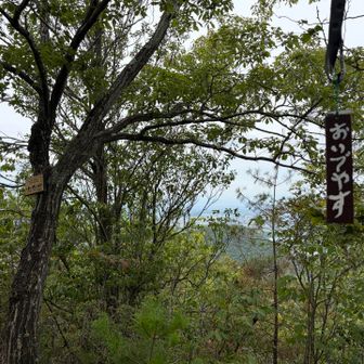 「おいでやす」〜おつかれ⛰️