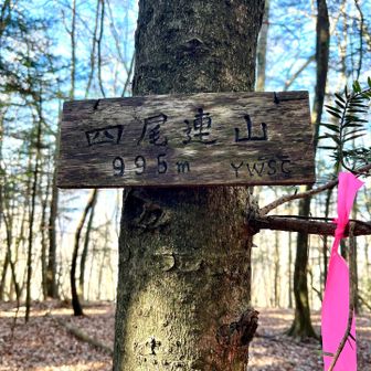 せっかくなので、四尾連湖畔の四尾連山も経由。
こちらは全く眺望なし。
