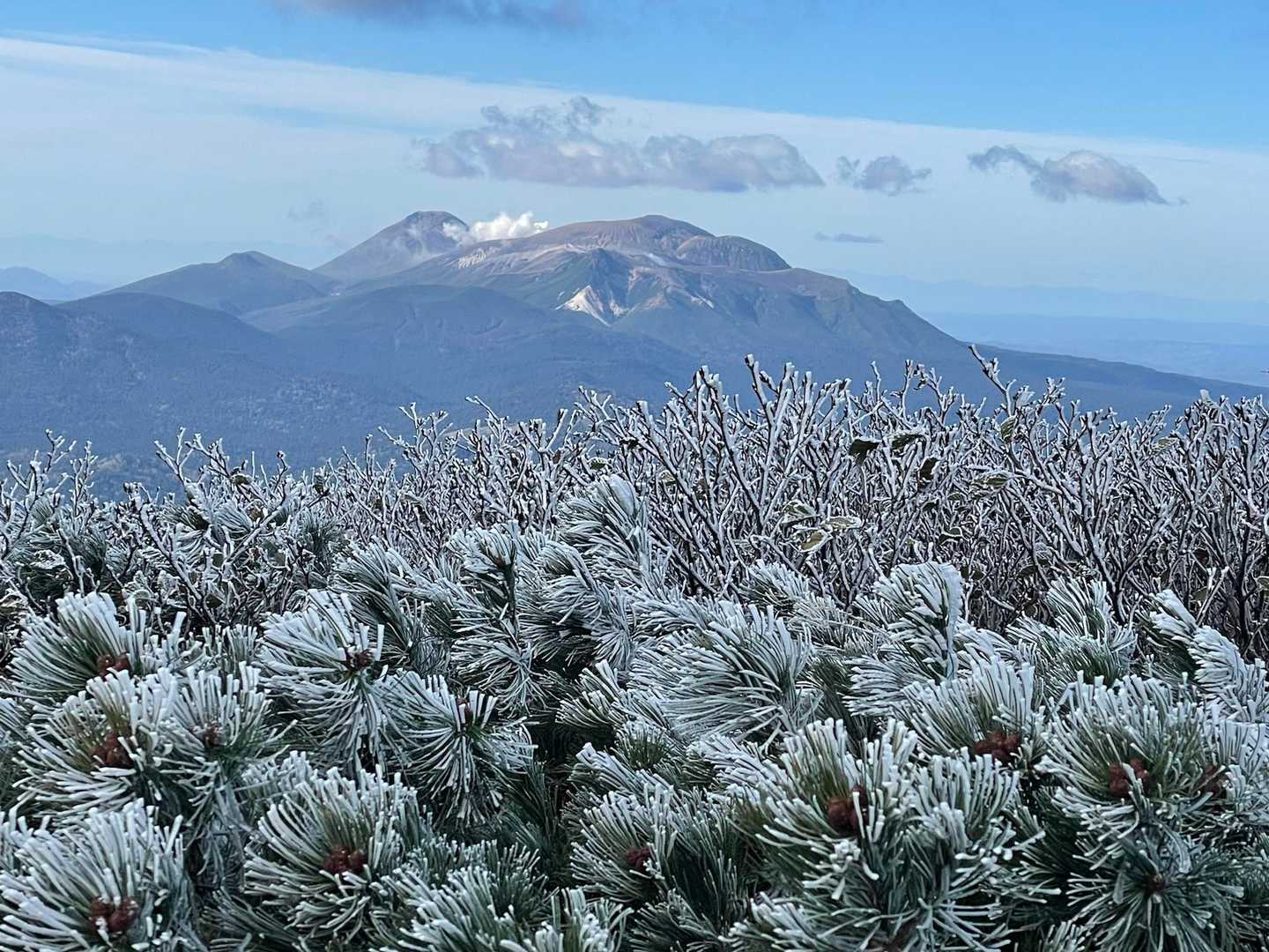 樹氷と雌阿寒岳
噴煙すごい💨