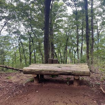 山頂にはベンチもあり。
景色は無いが静かな雰囲気の山の空気を味わう。