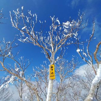 東中山！8年ぶり2度目