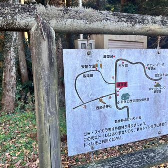 🅿️へ戻ってきました