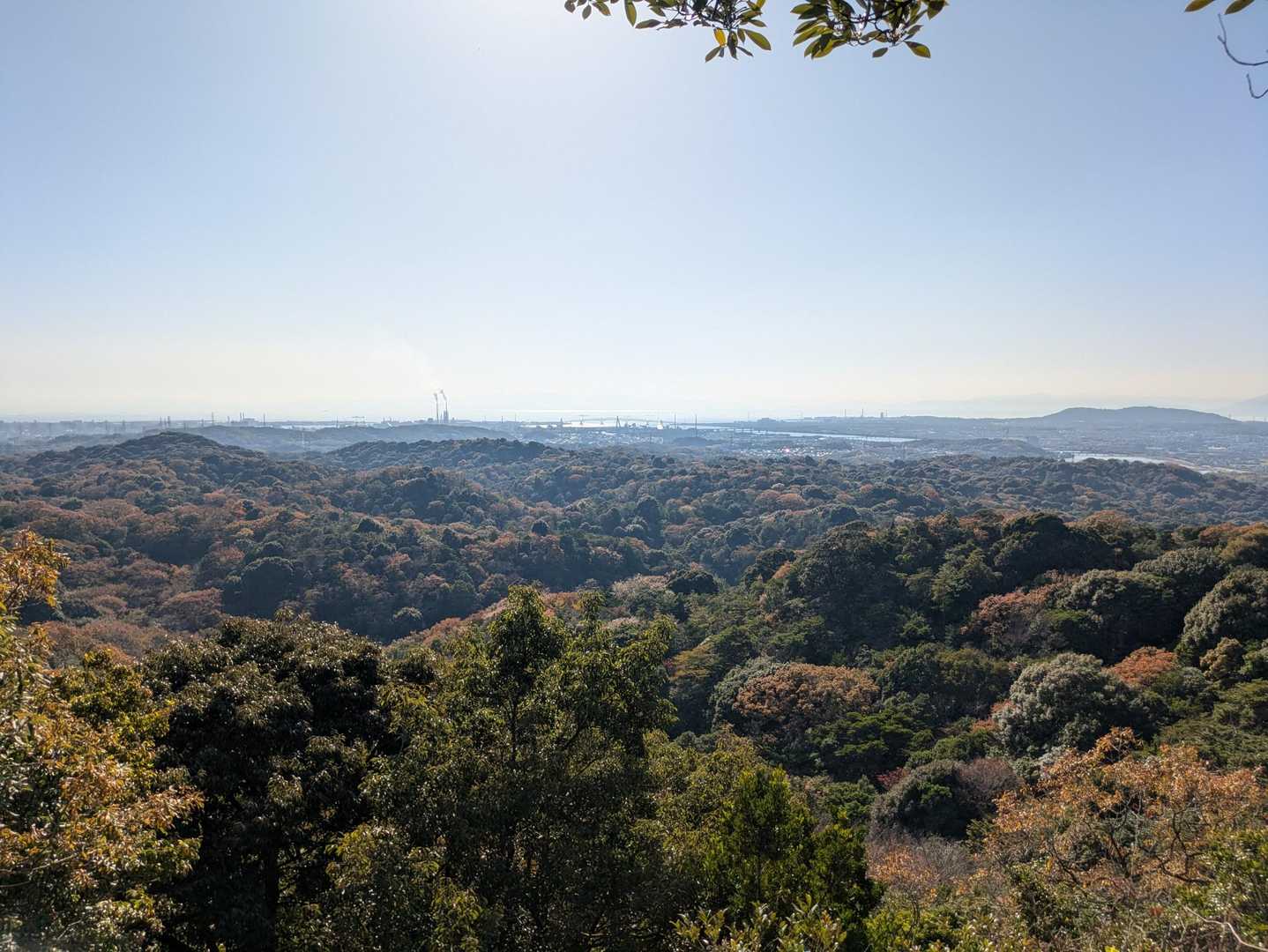 観音岳-白岩山 周回コースの写真