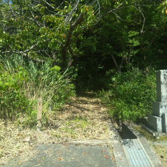 墓地はここまで。
