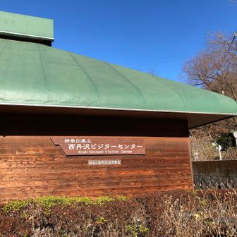 西丹沢ビジターセンターに到着！