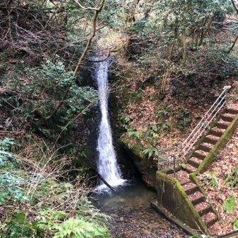 もどってきましたー！