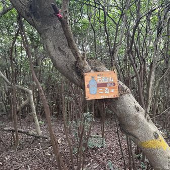 石鎚山着いた。