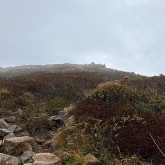 岩だね💦下山の膝が心配