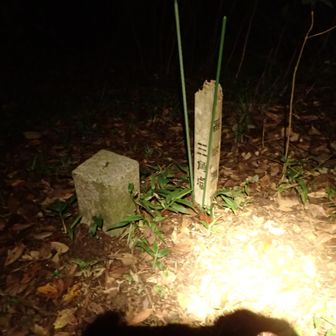 3056座目、愛宕山っす