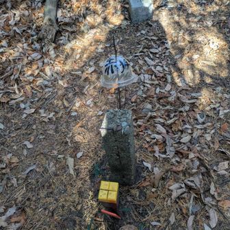 赤坂山の標記、これしか見当たらず😅