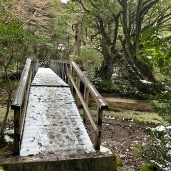 橋を渡ったら、、