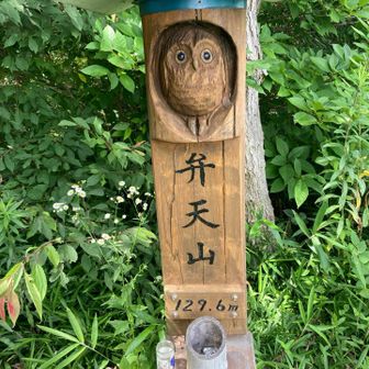 弁天山、ふくろう３