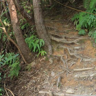 すぐに弥勒山への⛰️登り口