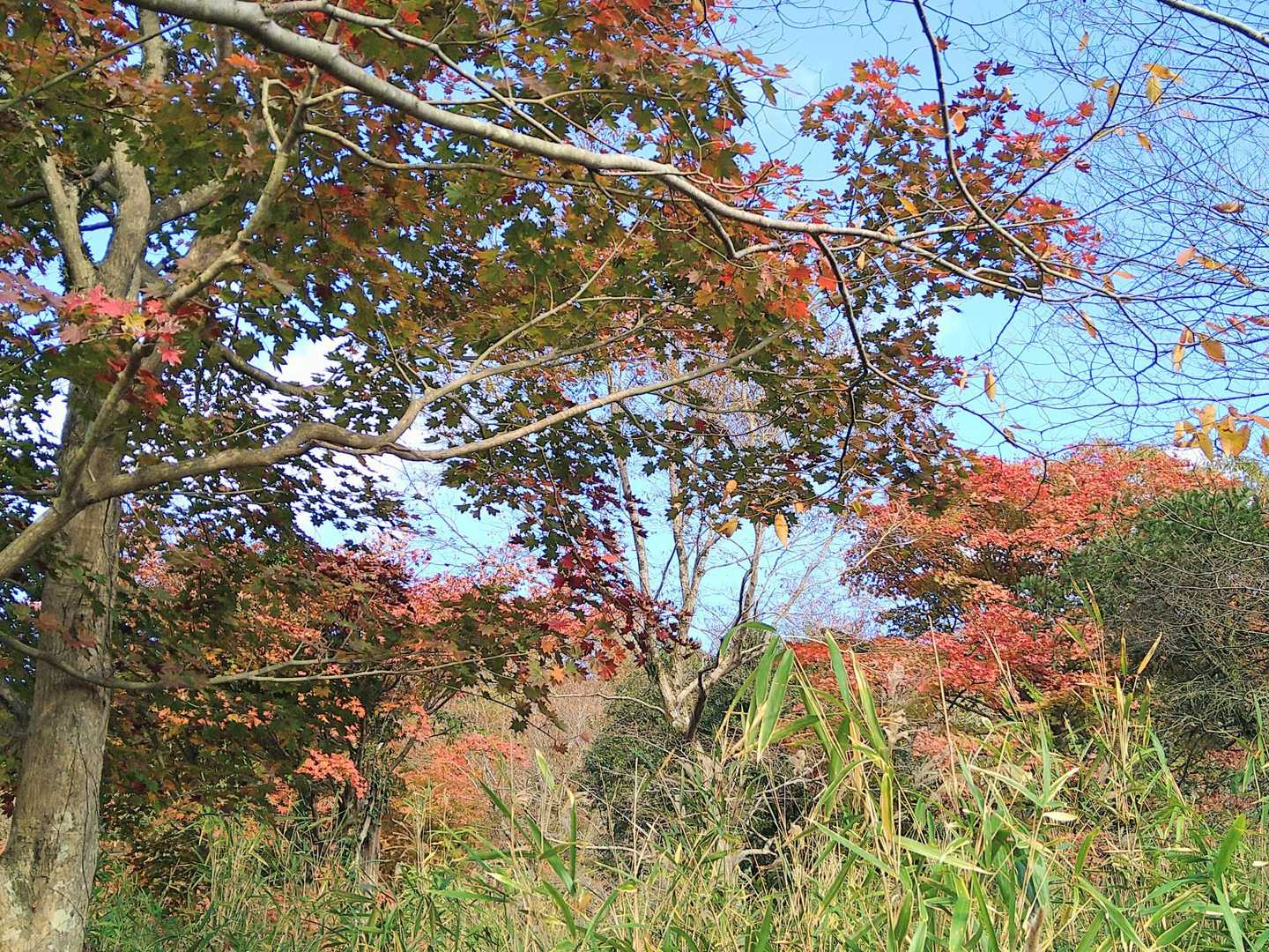 もうすぐ登山口に戻ります😙