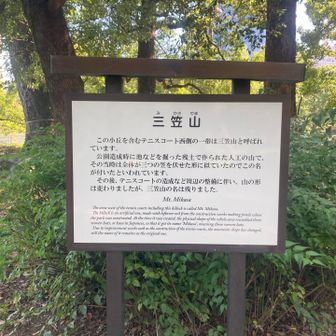 日比谷公園でピークハント