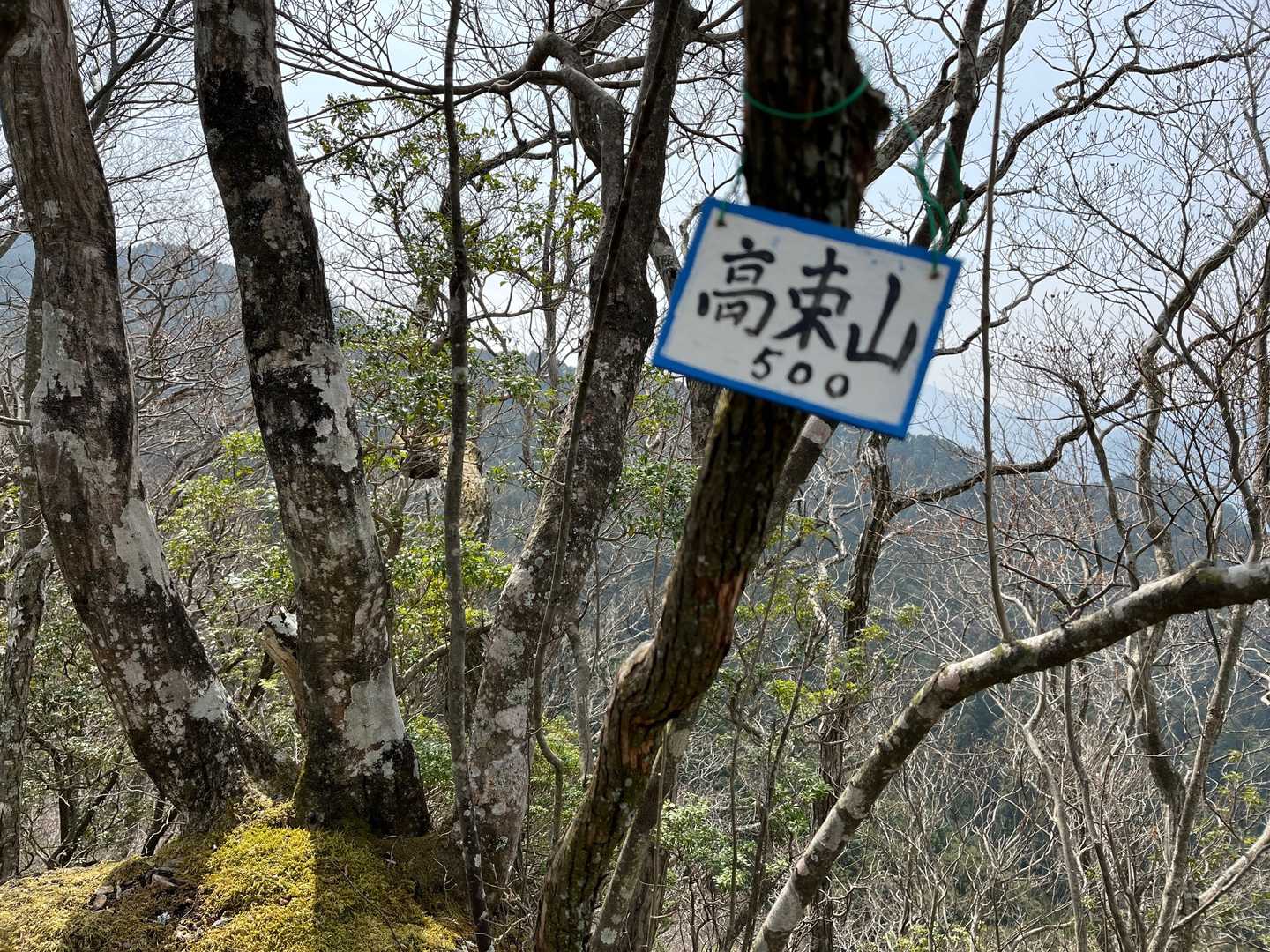 着きました💦
山頂！