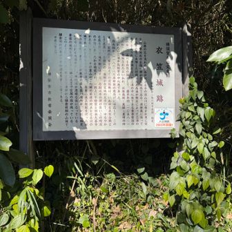 衣笠城跡へはお寺の脇の階段を上がる